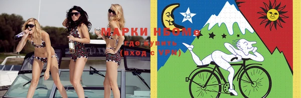 индика Алексеевка