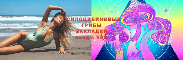 бошки Алзамай